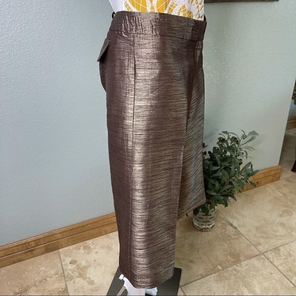 Cache Textured Bronze Capris Gaucho Pants Size 4 - Picture 5 of 12